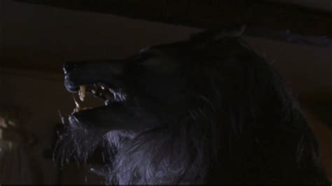 Curse of the werewolf dog